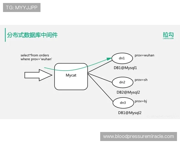 全面解析168体育全站登录流程与常见问题解决方案帮助用户顺利登录体验提升